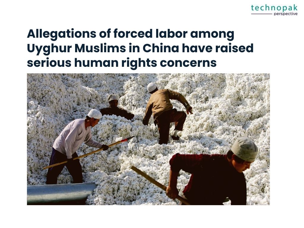 Forced-Labour-Uyghur-Muslims