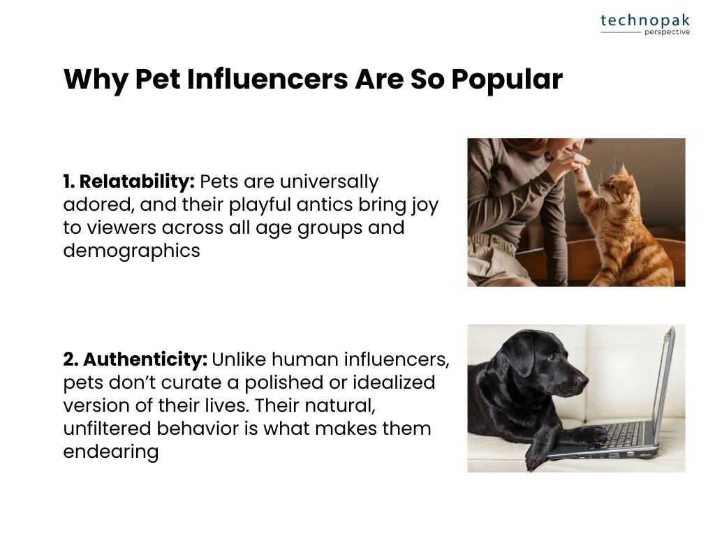 Reason-for-pet-influencer-popularity