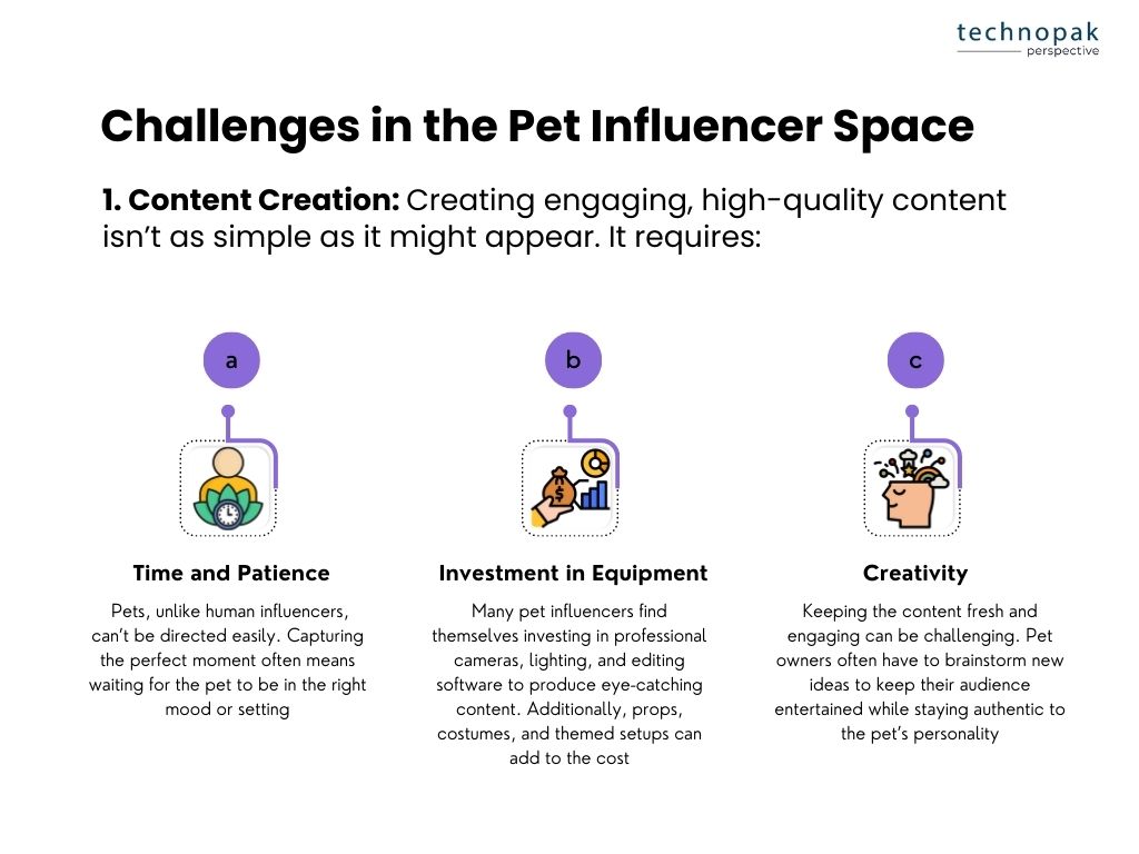 challenges-in-pet-influencer-space