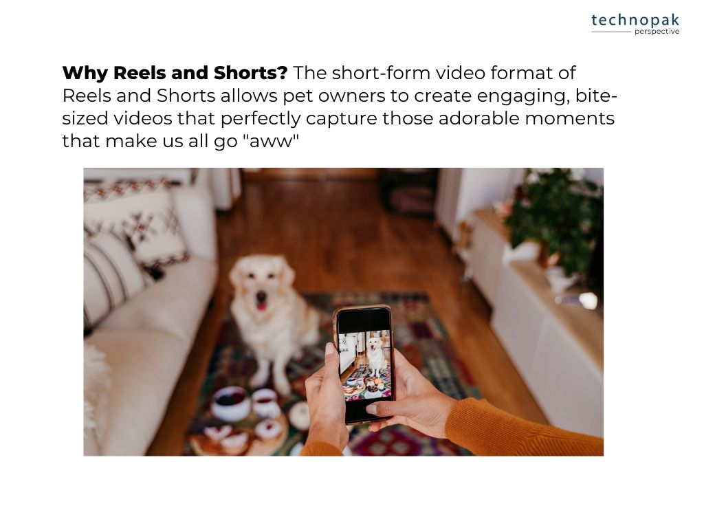 reels-and-shorts-pet-owners-content