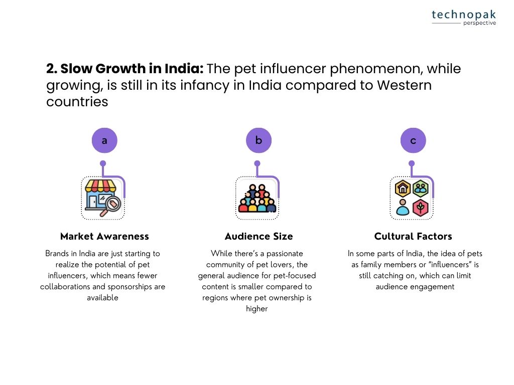 slow-growth-of-pet-influencers-iindia